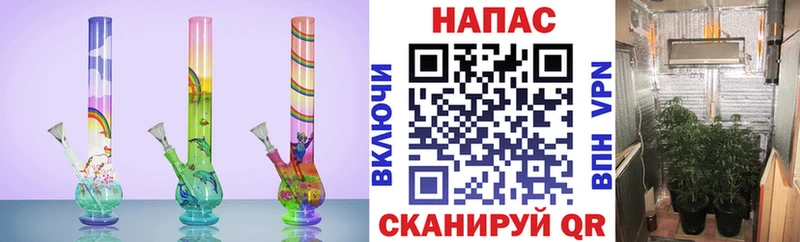 Конопля AK-47  Городище 
